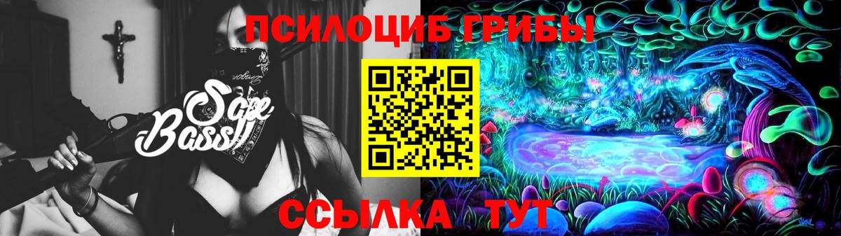 Гагарин  Галлюциногенные грибы прущие грибы  Вход с VPN  Галлюциногенные грибы Psilocybine cubensis 